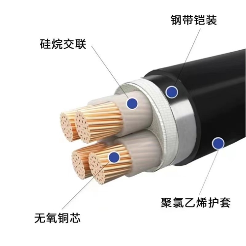 www.cdzc8.cn