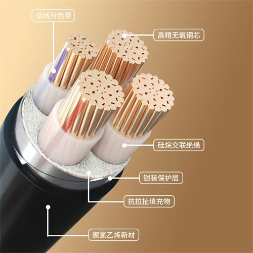 www.cdzc8.cn