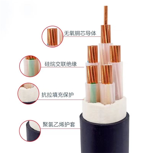 www.cdzc8.cn