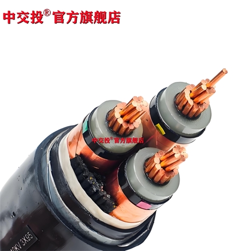 www.cdzc8.cn