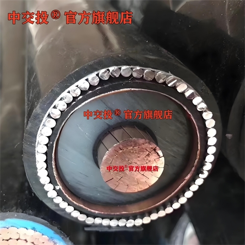 www.cdzc8.cn