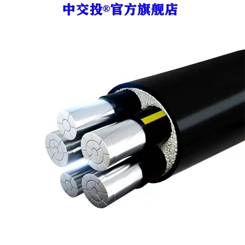 www.cdzc8.cn