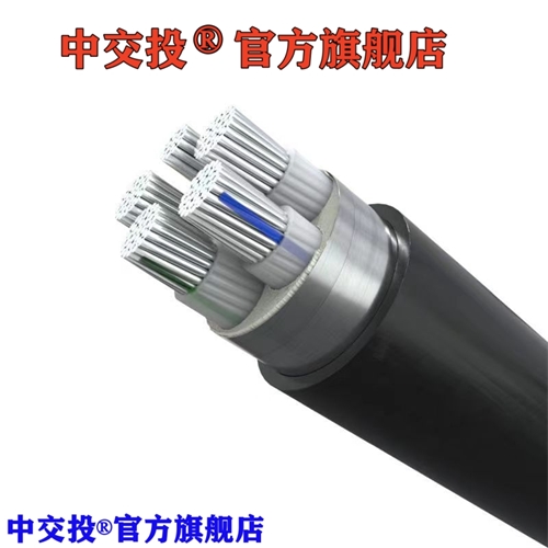 www.cdzc8.cn