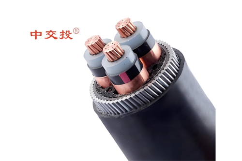 www.cdzc8.cn