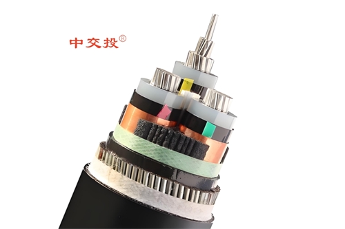 www.cdzc8.cn