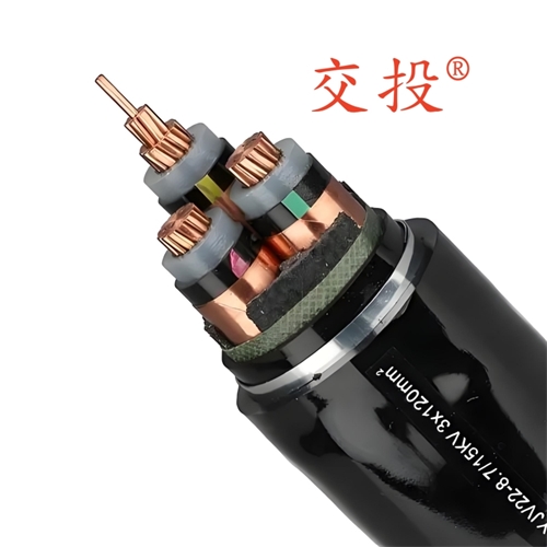 www.cdzc8.cn